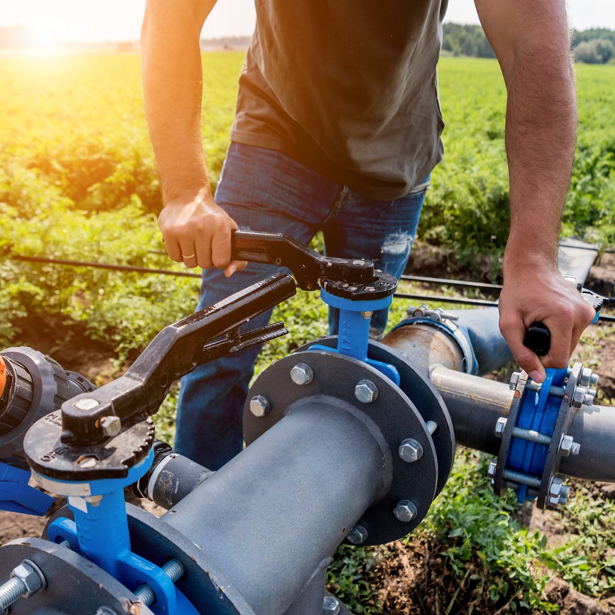 Mit einem Werkzeug in der Hand justiert ein Mann eine Wasserpumpe auf einem Feld, um die Bewässerung der Pflanzen zu optimieren.